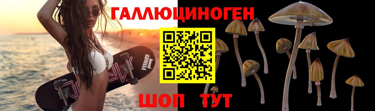 Псилоцибиновые грибы Psilocybe Конаково